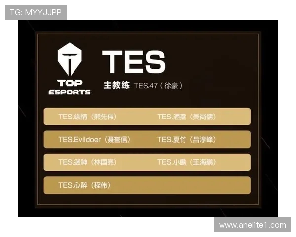 热议王者荣耀：WE战队如何通过比赛经验变革提升竞技水平与团队协作