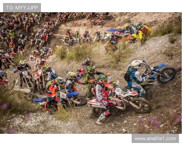 从零起步探索极限运动的耐力训练与技巧全解析